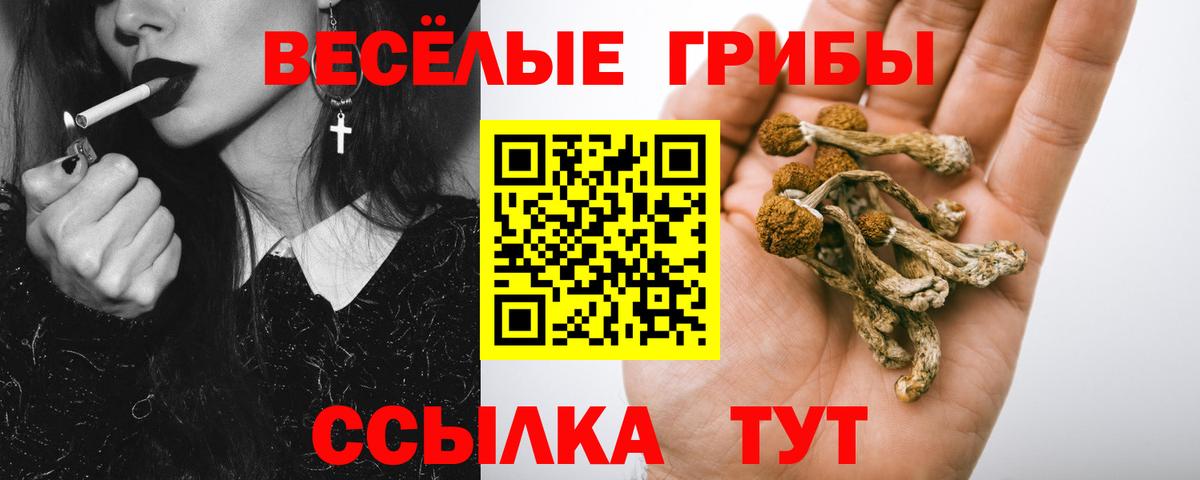Городец  Псилоцибиновые грибы MAGIC MUSHROOMS  Псилоцибиновые грибы GOLDEN TEACHER  Вход с VPN 